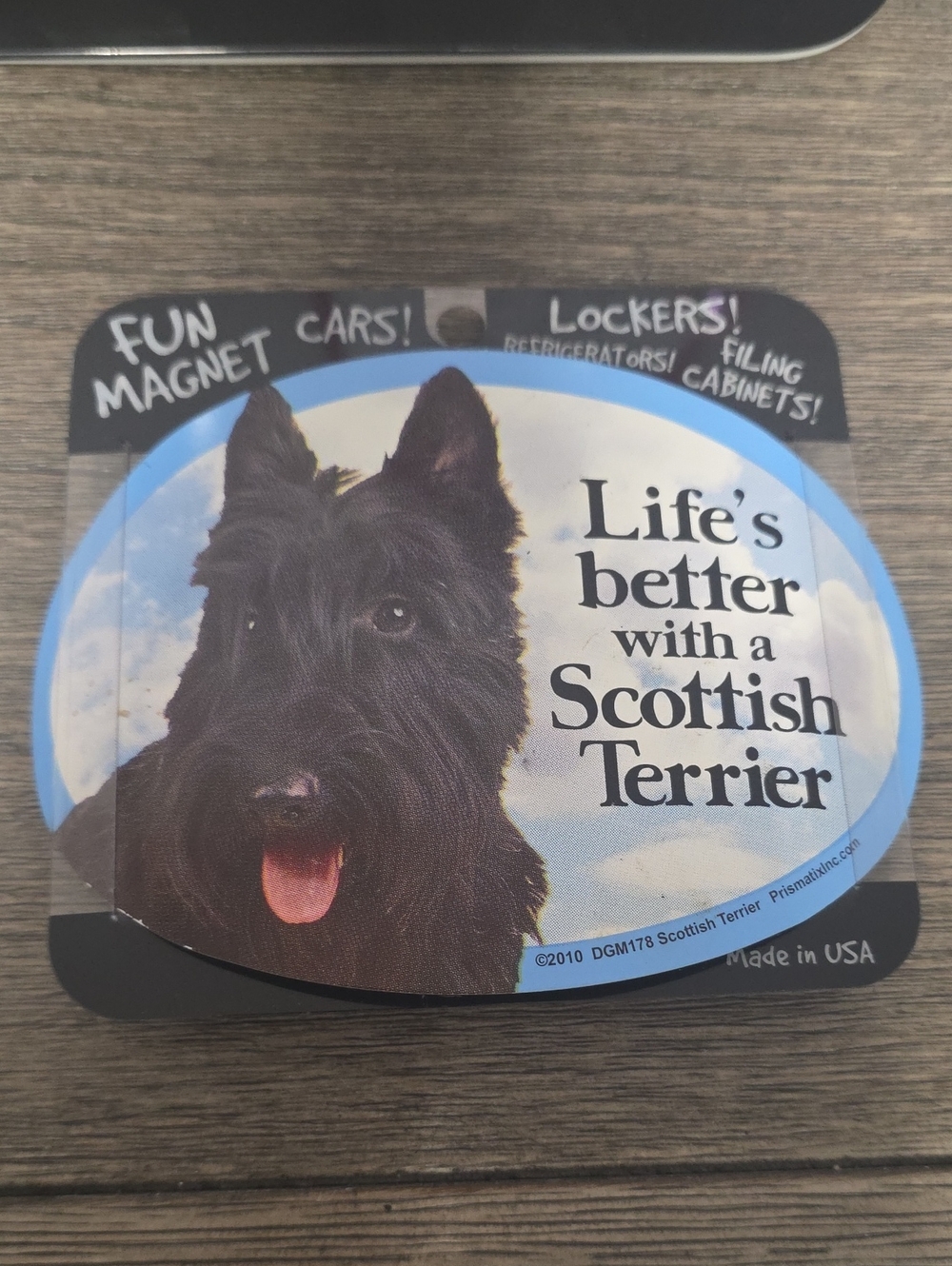 FUN MAGNET PET DECALS - Picture 1 of 2